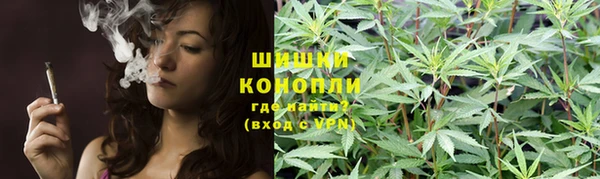 дмт Краснослободск