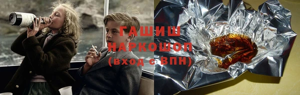 дмт Краснослободск